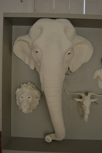 JardimBotanico_julho17 (15).JPG