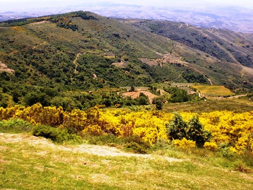 Alfandega da fé 024.jpg