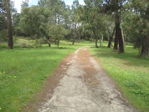 12998588_10207358134410192_4194645825277150372_n.j