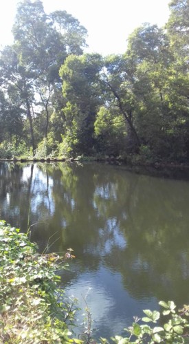 18557065_1309826002466035_2116318617343495456_n.jp