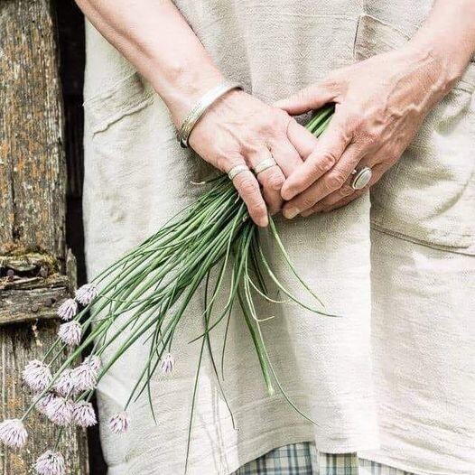 244939865_1744516502413636_2282203748460643286_n.j