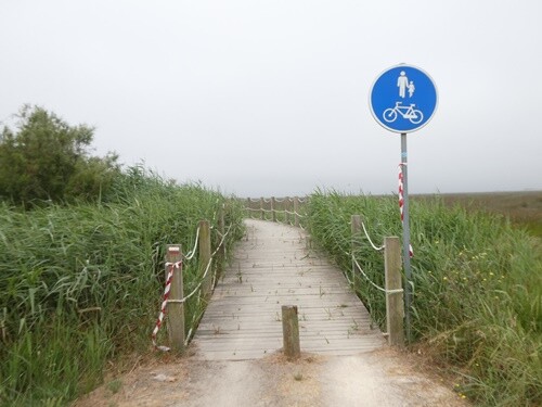 P1044563.JPG