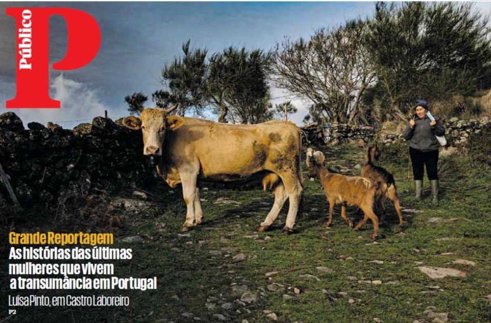 135186976_3904650852934220_8334574103308498234_o.j