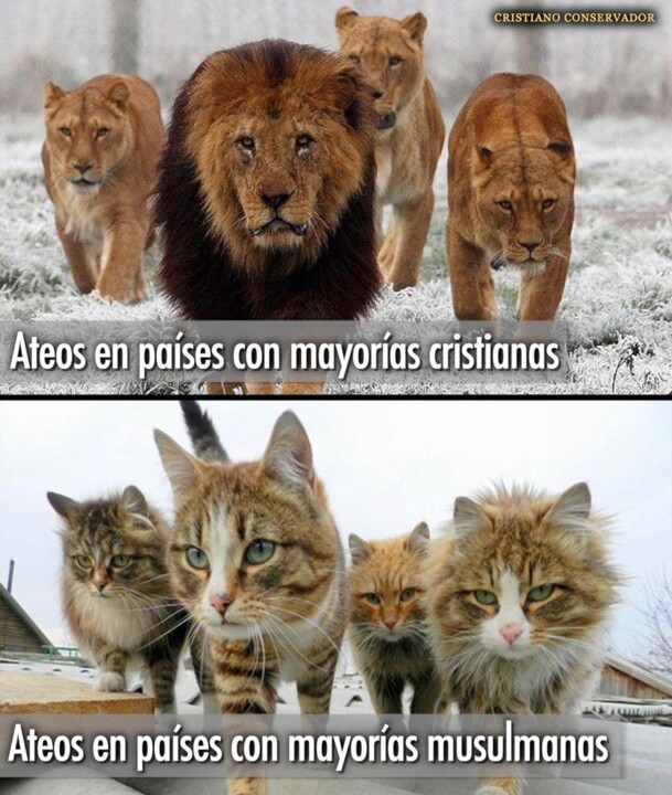 86265272_1047295992322227_3275737647892398080_n.jp