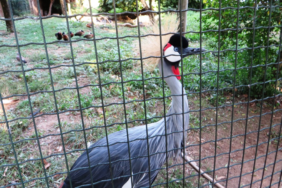 IMG_4507.JPG IMG_4507.JPG