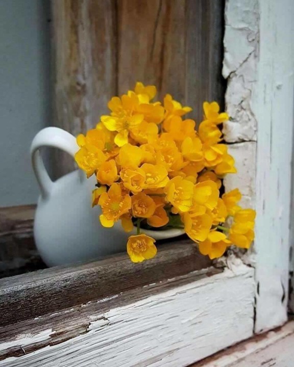 48405903_1916246335137896_5460084068186062848_n.jp 48405903_1916246335137896_5460084068186062848_n.jp