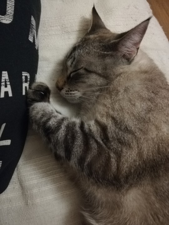 IMG_20201027_200153.jpg IMG_20201027_200153.jpg