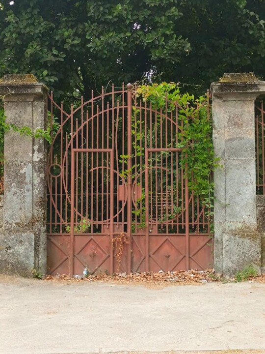 Não me canso disto porta.jpg