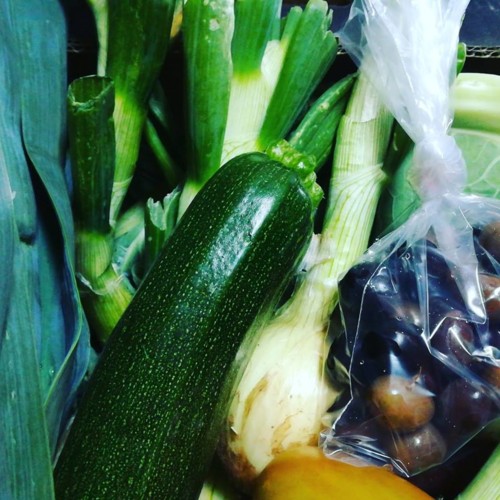 52611631_1316255821847509_4520460994664726528_n.jp