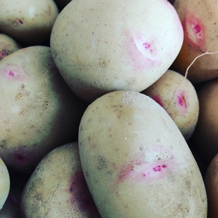 285759673_2328202917319456_7987364491939727610_n.j