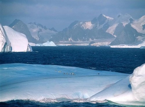 Antarctica_09-4.jpg