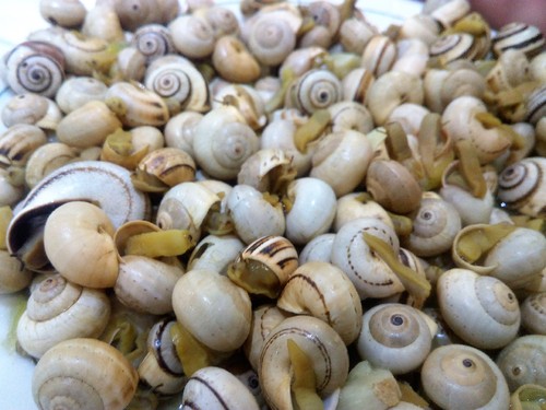 IMG_20160629_171547 (2).jpg IMG_20160629_171547 (2).jpg