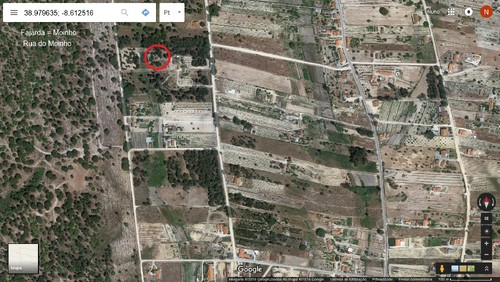 FAJARDA.jpg FAJARDA.jpg