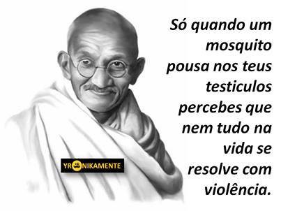 mosquito.jpg mosquito.jpg