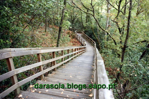 Passarelas_Rio_Mao_14.JPG Passarelas_Rio_Mao_14.JPG