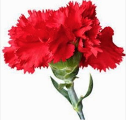 Captura de ecrã 2016-04-24, às 17.29.24.png