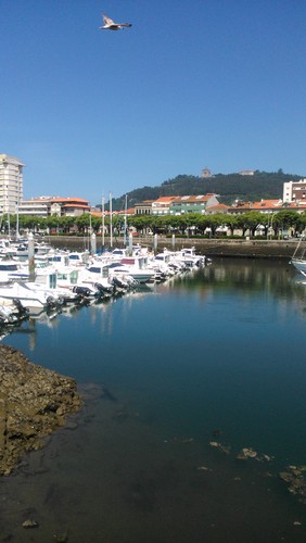 DSC_0987.jpg DSC_0987.jpg