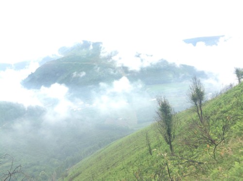 A19B256D-7EC5-4FE9-AEF6-A0D02F7FFD9F-1094-00000142 A19B256D-7EC5-4FE9-AEF6-A0D02F7FFD9F-1094-00000142