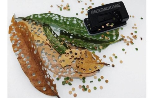 confete-de-folhas.jpg confete-de-folhas.jpg