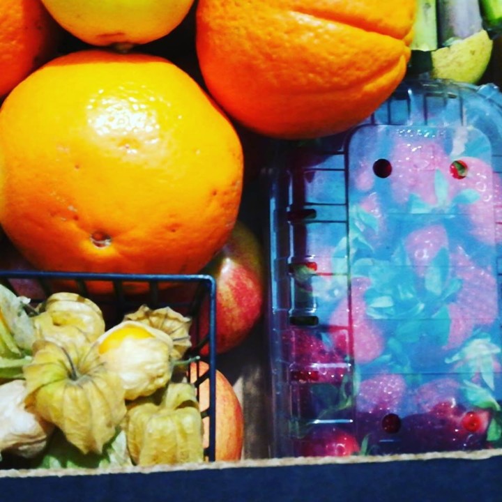 56279948_1339418026197955_1706898274914402304_n.jp