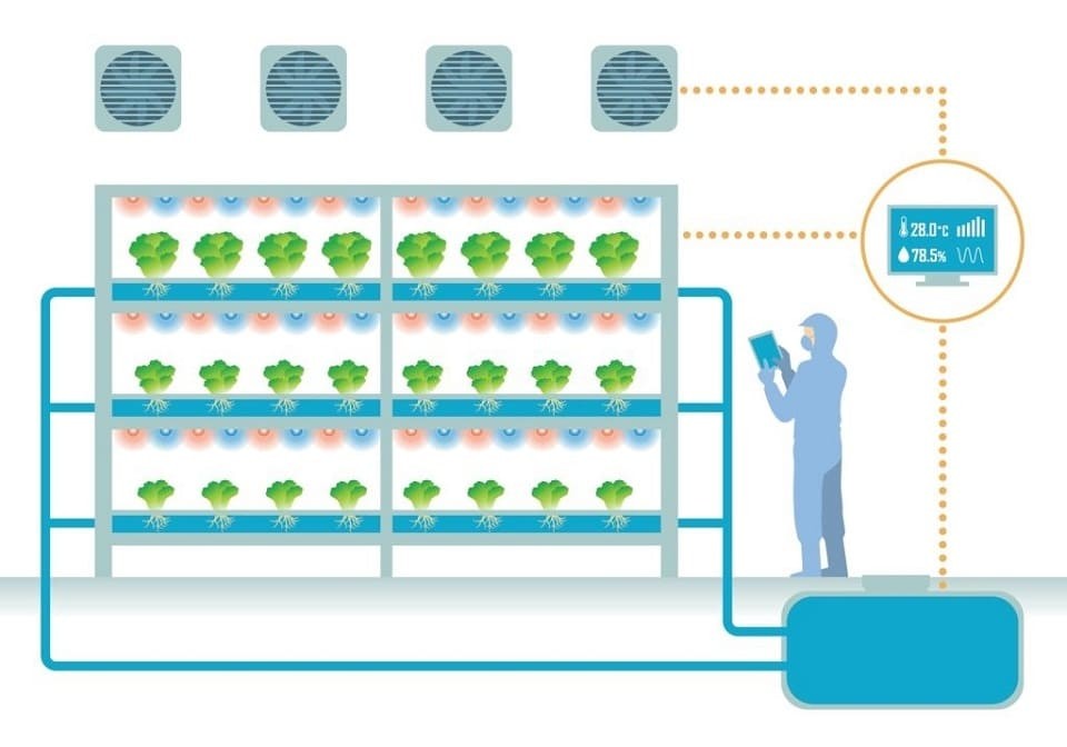 Quando medir a condutividade elétrica em hidroponia?