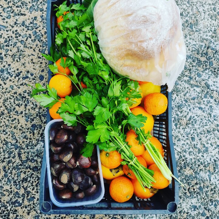 467445556_960022522821825_3694797093945817613_n.jp