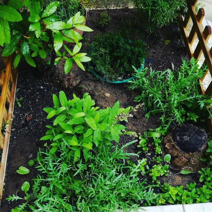 57608870_1350276691778755_8335077490422710272_n.jp