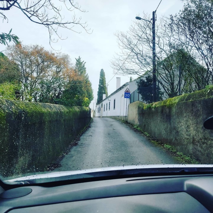 142081331_1934230556716696_2667438341438334905_o.j