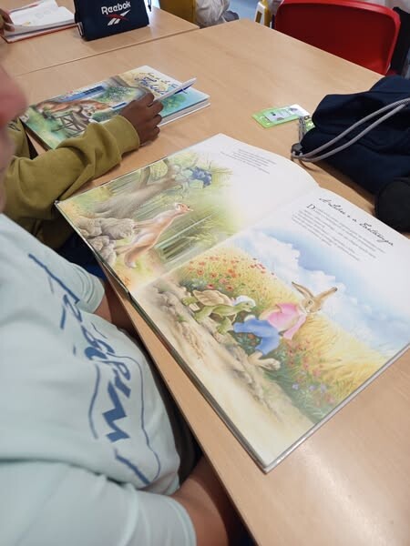 565112139_1427757336018322_626892031665068285_n.jp