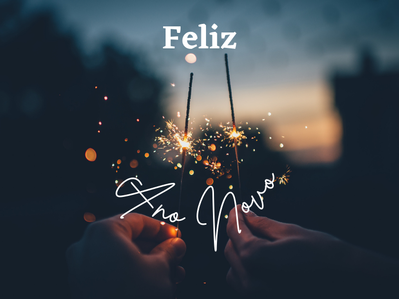 Dina Coelho (15).png