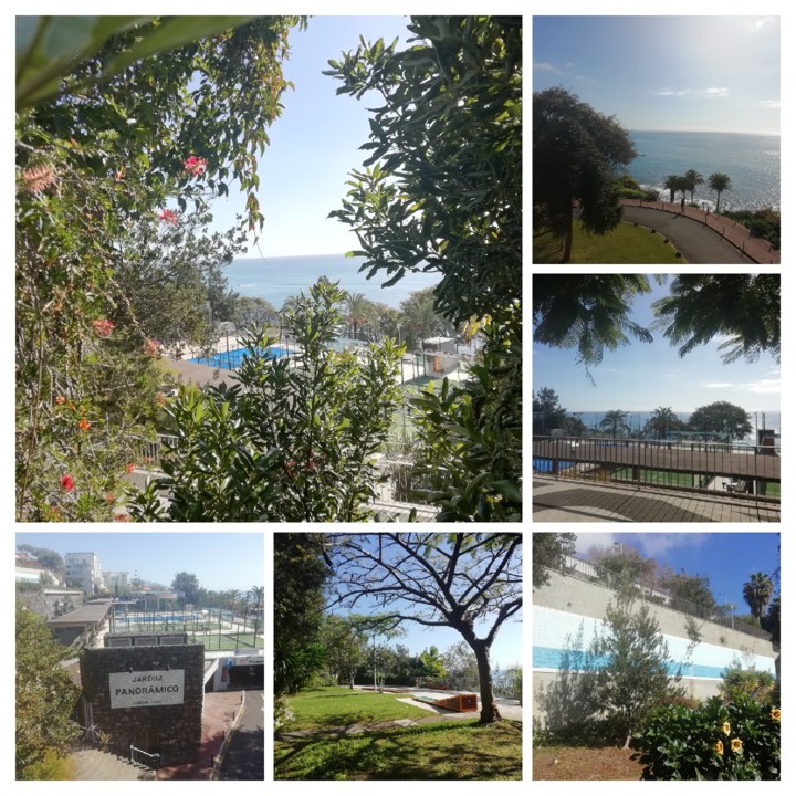 IMG_20210131_120840-COLLAGE.jpg IMG_20210131_120840-COLLAGE.jpg