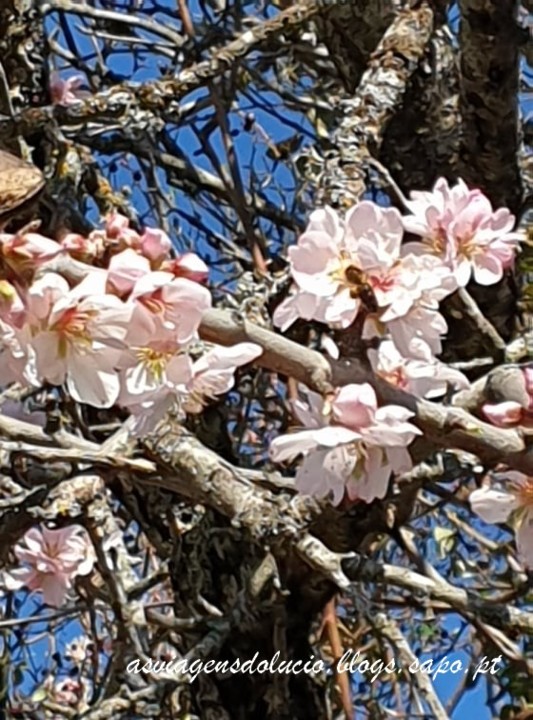 273855226_1399295287171984_6772910760188134842_n.j