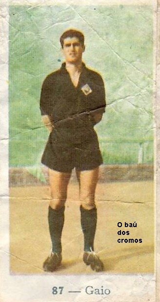 87 - Gaio.JPG