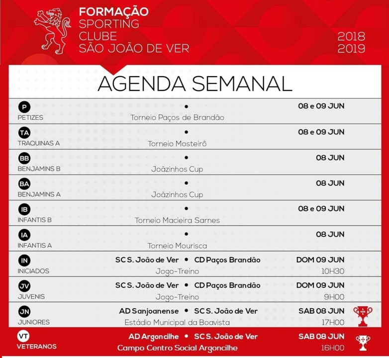 Cartaz SJVer 