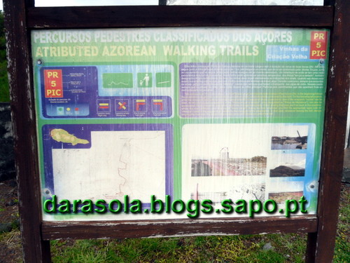 azores_pico_criacao_velha_46.JPG
