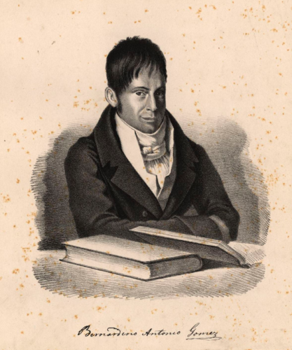 Bernardino_António_Gomes_médico_da_Real_Câmara. Bernardino_António_Gomes_médico_da_Real_Câmara.