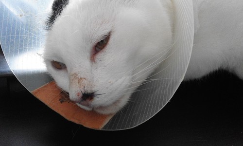 20170511_144332.jpg 20170511_144332.jpg