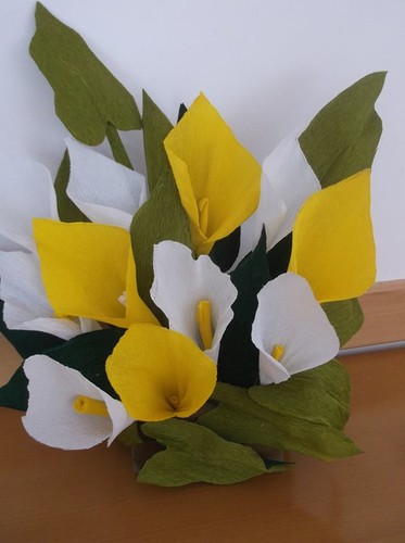 12993561_1729644393973812_1930112443356273613_n.jp