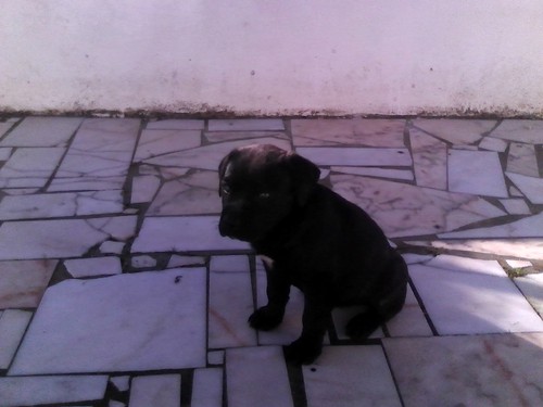 IMG_20161223_112914.jpg IMG_20161223_112914.jpg