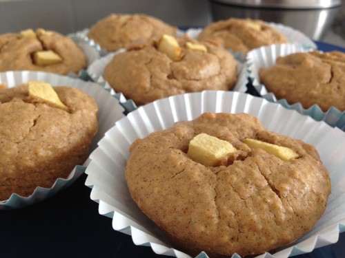 IMG_3441.JPG IMG_3441.JPG