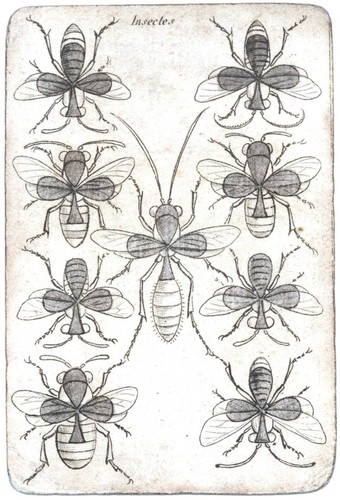 Entertainment - Playing card - Eight of Clubs - Be