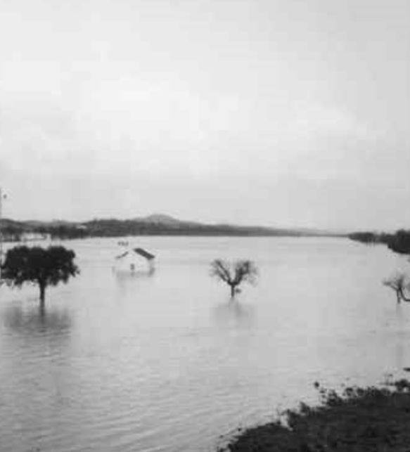 cheia ribatejo.PNG cheia ribatejo.PNG