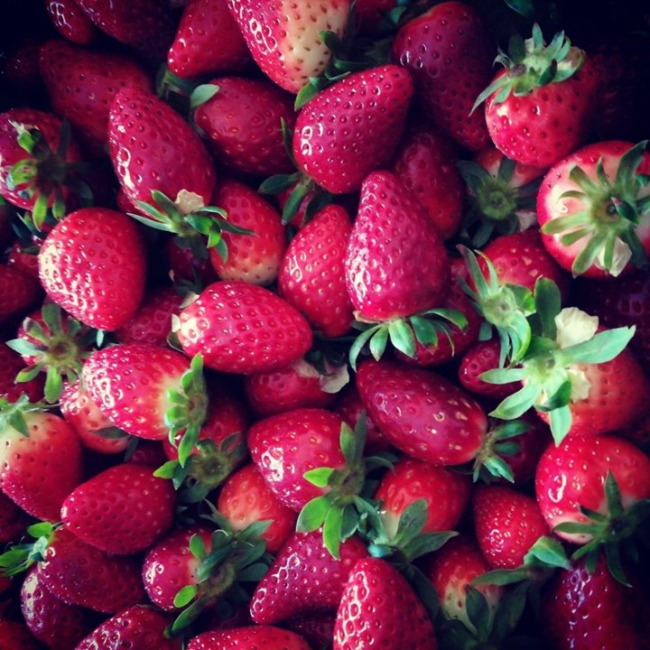 88970326_1633880803418341_8622834406559580160_o.jp 88970326_1633880803418341_8622834406559580160_o.jp