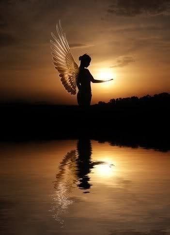 37acc0489f76468088cb946ff21cd2c7.jpg 37acc0489f76468088cb946ff21cd2c7.jpg