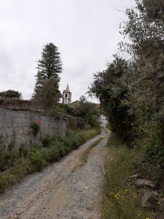 Azinhaga do Poço dos Cães. Foto original. 2021.05.22.jpg