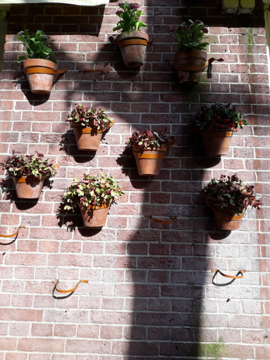 20200225_094408.jpg 20200225_094408.jpg