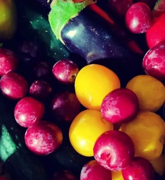 296105371_2370217826451298_8142362268006392499_n.j