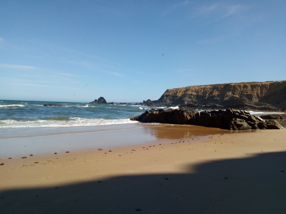 IMG_20190812_102717.jpg IMG_20190812_102717.jpg