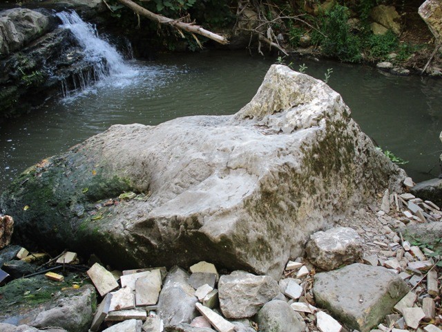 222864147_4098361296945811_2448212083232244543_n.j