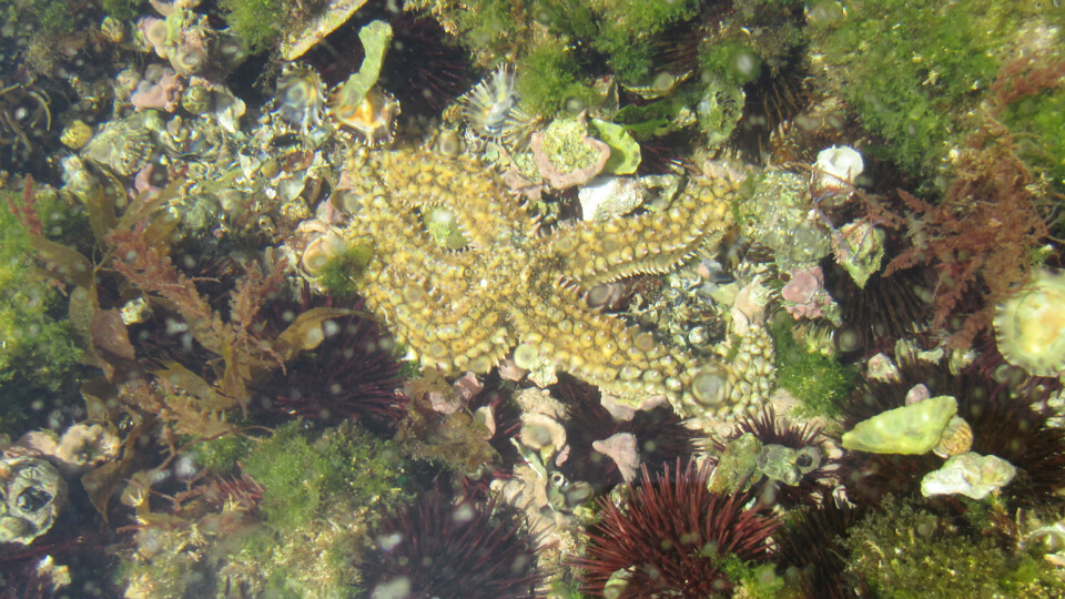 2020-08-09 12.03.51.jpg